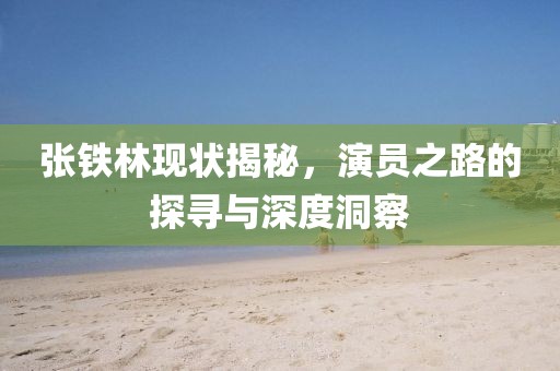 张铁林现状揭秘，演员之路的探寻与深度洞察