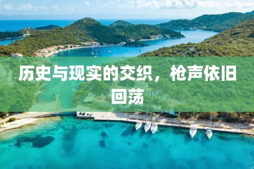 历史与现实的交织，枪声依旧回荡