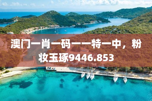 澳门一肖一码一一特一中，粉妆玉琢9446.853