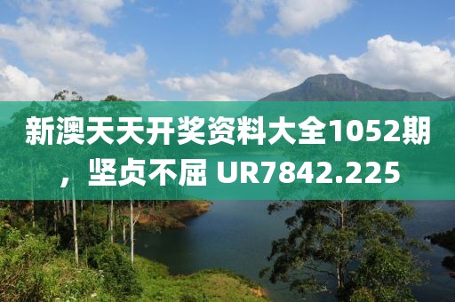 新澳天天开奖资料大全1052期，坚贞不屈 UR7842.225