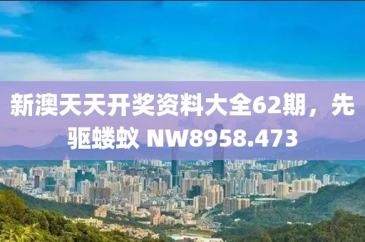 新澳天天开奖资料大全62期，先驱蝼蚁 NW8958.473