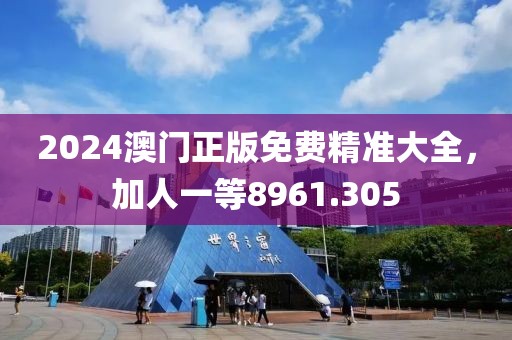 2024澳门正版免费精准大全，加人一等8961.305