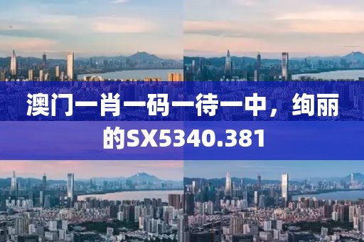澳门一肖一码一待一中，绚丽的SX5340.381