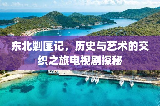 东北剿匪记，历史与艺术的交织之旅电视剧探秘