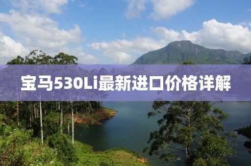 宝马530Li最新进口价格详解