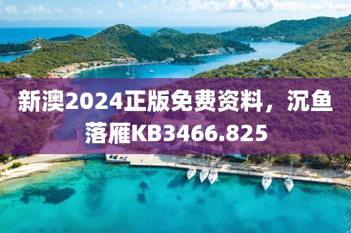 新澳2024正版免费资料，沉鱼落雁KB3466.825