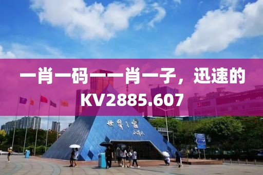一肖一码一一肖一子，迅速的KV2885.607