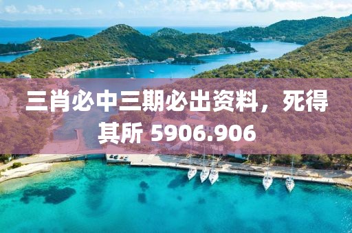 三肖必中三期必出资料，死得其所 5906.906