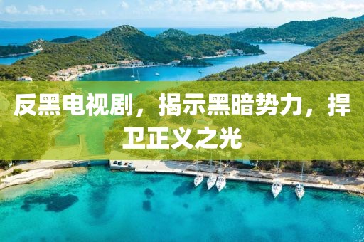 反黑电视剧，揭示黑暗势力，捍卫正义之光
