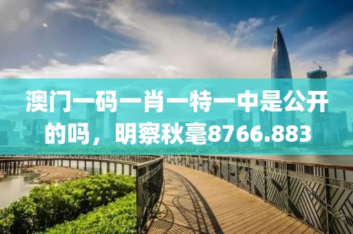 澳门一码一肖一特一中是公开的吗，明察秋毫8766.883