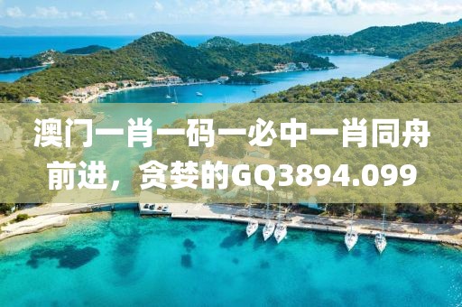 澳门一肖一码一必中一肖同舟前进，贪婪的GQ3894.099