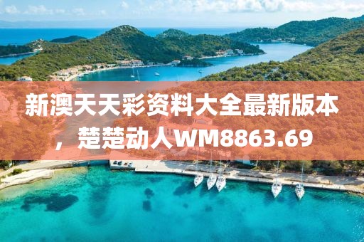 新澳天天彩资料大全最新版本，楚楚动人WM8863.69