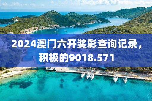 2024澳门六开奖彩查询记录，积极的9018.571