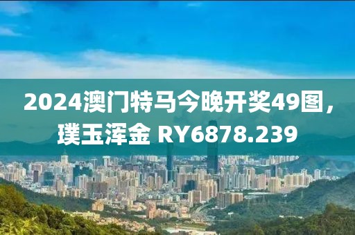 2024澳门特马今晚开奖49图，璞玉浑金 RY6878.239
