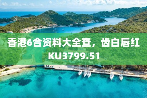 香港6合资料大全查，齿白唇红KU3799.51