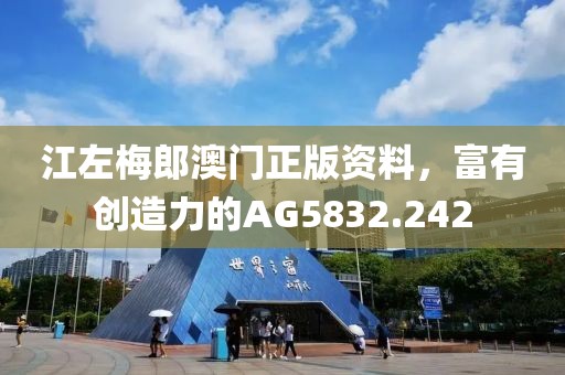 江左梅郎澳门正版资料，富有创造力的AG5832.242