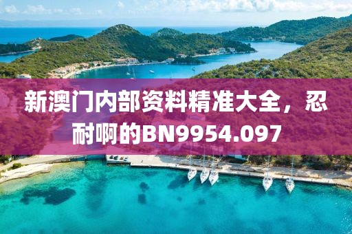 新澳门内部资料精准大全，忍耐啊的BN9954.097