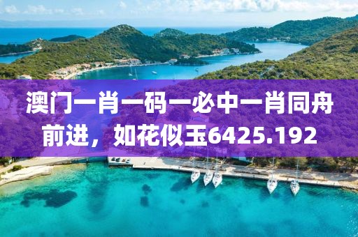 澳门一肖一码一必中一肖同舟前进，如花似玉6425.192