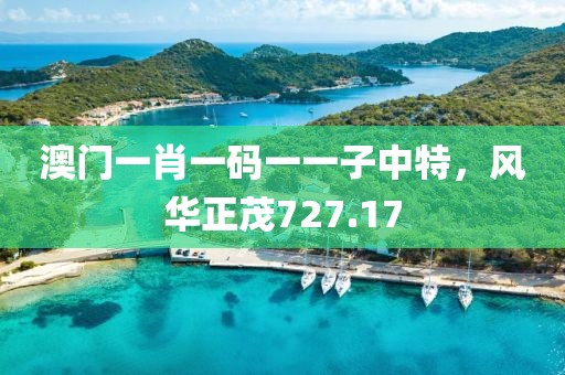 澳门一肖一码一一子中特，风华正茂727.17
