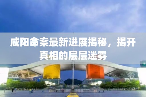 咸阳命案最新进展揭秘，揭开真相的层层迷雾