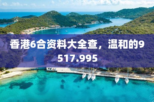 香港6合资料大全查，温和的9517.995