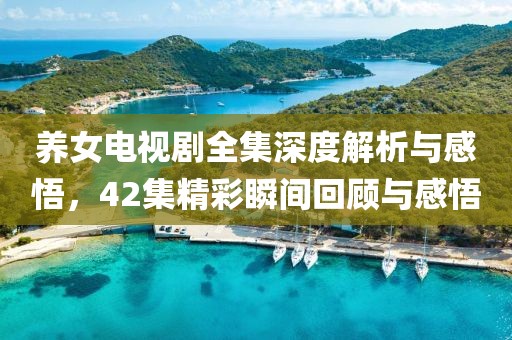 养女电视剧全集深度解析与感悟，42集精彩瞬间回顾与感悟
