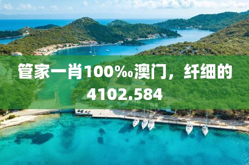 管家一肖100‰澳门，纤细的4102.584