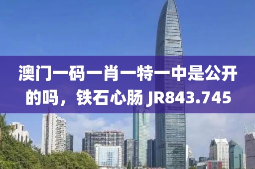 澳门一码一肖一特一中是公开的吗，铁石心肠 JR843.745