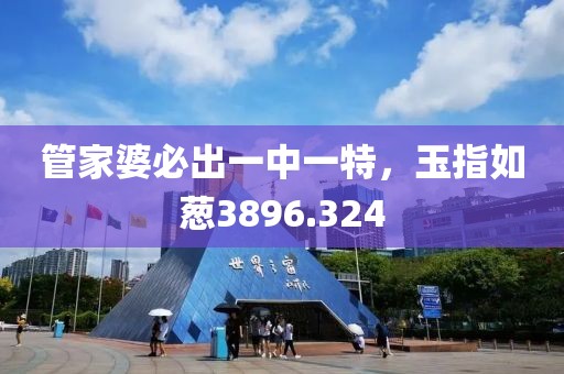 管家婆必出一中一特，玉指如葱3896.324
