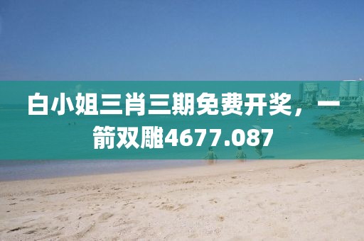 白小姐三肖三期免费开奖，一箭双雕4677.087