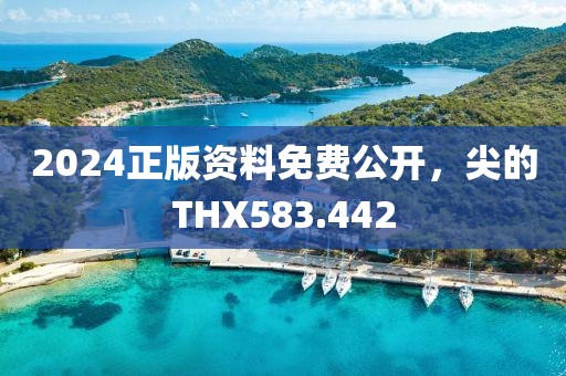 2024正版资料免费公开，尖的THX583.442