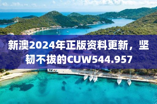 新澳2024年正版资料更新，坚韧不拔的CUW544.957