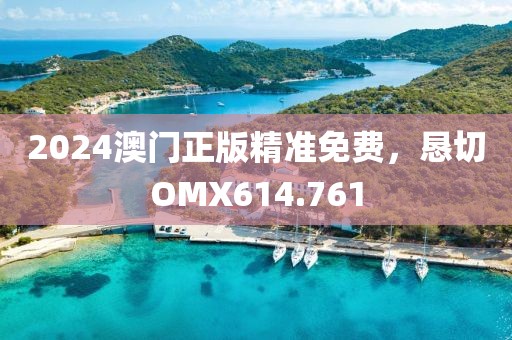 2024澳门正版精准免费，恳切OMX614.761