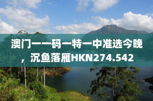 澳门一一码一特一中准选今晚，沉鱼落雁HKN274.542