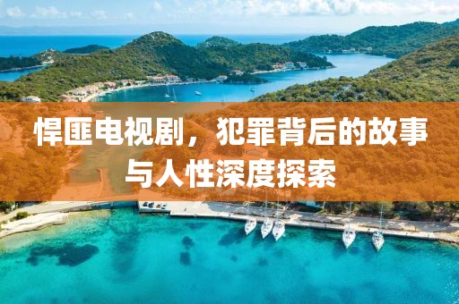 悍匪电视剧，犯罪背后的故事与人性深度探索