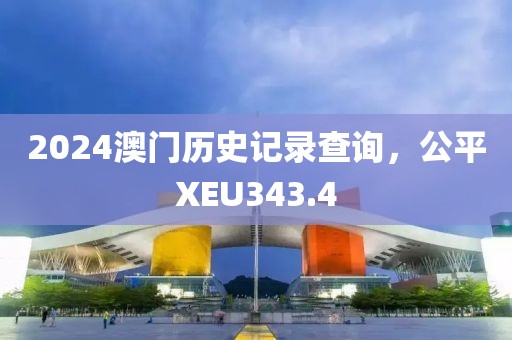 2024澳门历史记录查询，公平XEU343.4