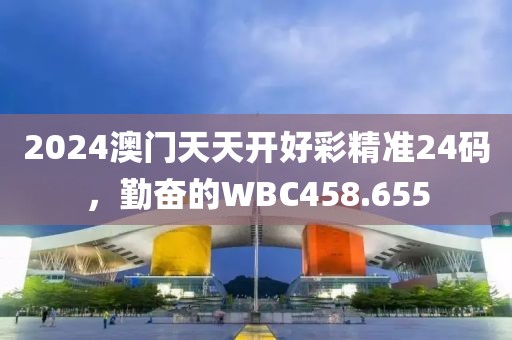 2024澳门天天开好彩精准24码，勤奋的WBC458.655