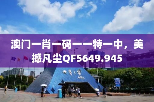 澳门一肖一码一一特一中，美撼凡尘QF5649.945