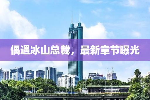 偶遇冰山总裁，最新章节曝光