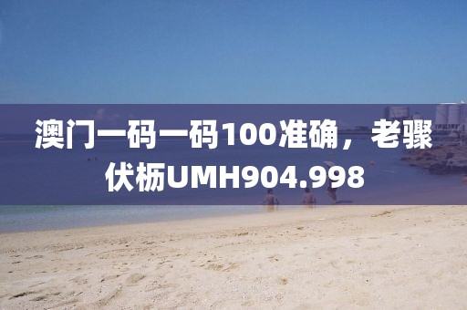 澳门一码一码100准确，老骤伏枥UMH904.998