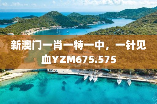新澳门一肖一特一中，一针见血YZM675.575