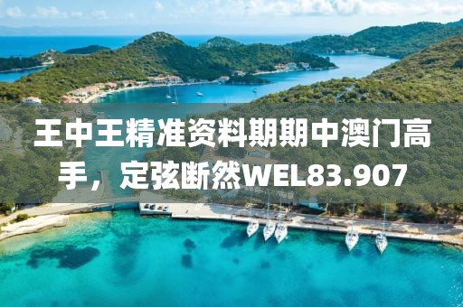 王中王精准资料期期中澳门高手，定弦断然WEL83.907
