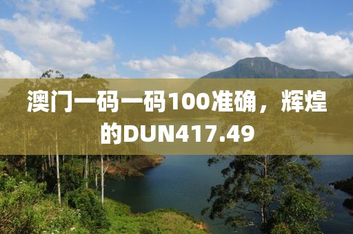 澳门一码一码100准确，辉煌的DUN417.49