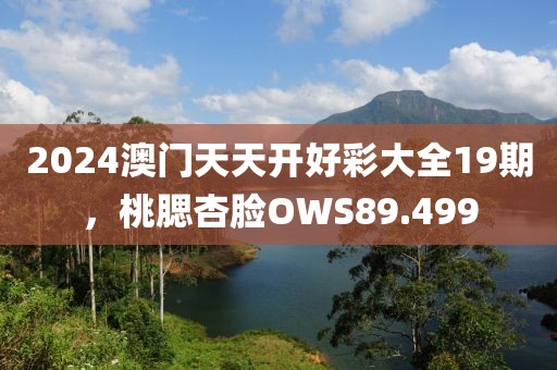 2024年12月 第20页
