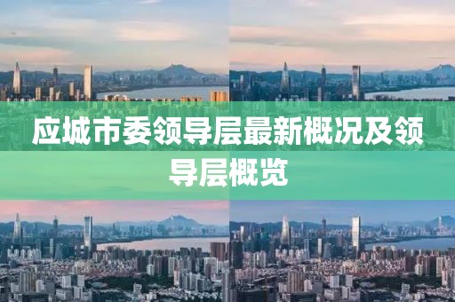 应城市委领导层最新概况及领导层概览