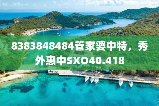 8383848484管家婆中特，秀外惠中SXO40.418
