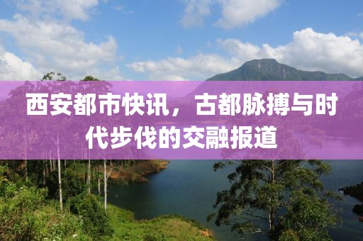 西安都市快讯，古都脉搏与时代步伐的交融报道