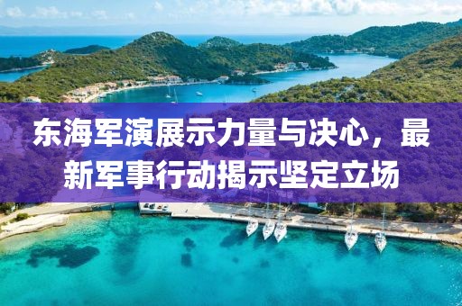 东海军演展示力量与决心，最新军事行动揭示坚定立场