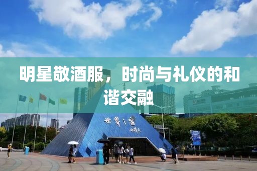 明星敬酒服，时尚与礼仪的和谐交融