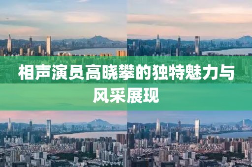 相声演员高晓攀的独特魅力与风采展现